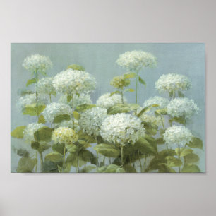 Poster Jardin blanc d'hortensia