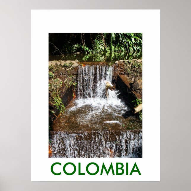POSTER JARDIN BOTANICO, MARSELLA (Devant)
