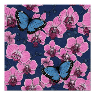 Poster Jardin botanique d'orchidées avec papillons