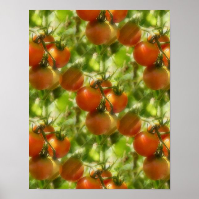 Poster Jardin Cherry Tomates Motif de la nature (Devant)
