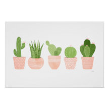 Jardin de Cactus