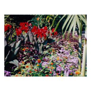 Poster Jardin de guérison