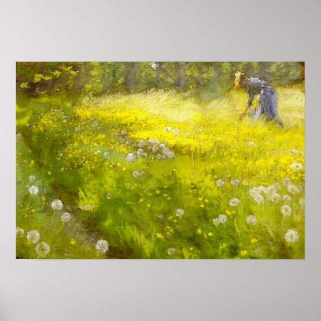 Poster Jardin de Kroyer à Skagen (Devant)