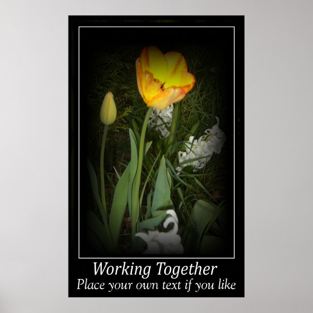 Poster Jardin de printemps de Tulipe travaillant ensemble (Devant)