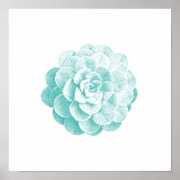 Jardin de printemps Plante Succulent vintage