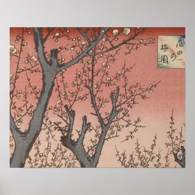 Poster Jardin de prune fleuri d'arbre japonais (Devant)