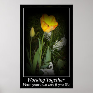 Poster Jardin de ressort de tulipe fonctionnant ensemble