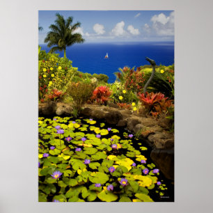 Poster Jardin d'Eden - Maui - Hawaii