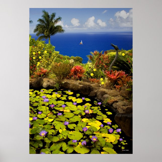 Poster Jardin d'Eden - Maui - Hawaii (Devant)