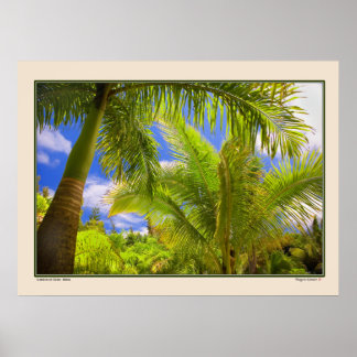 Poster Jardin d'Eden - Palmiers - Maui Hawaii