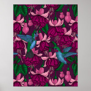 Poster Jardin des colibris
