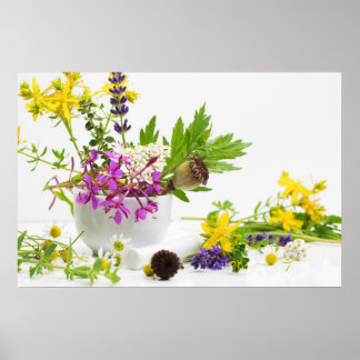 Poster Jardin d'herbes