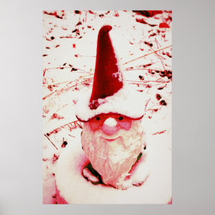 Poster Jardin d'hiver Gnome Ken Gage Photographie