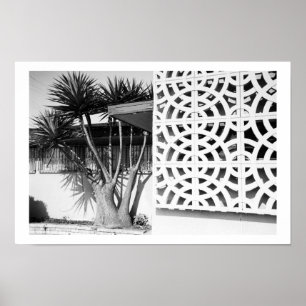 Poster Jardin du milieu du siècle