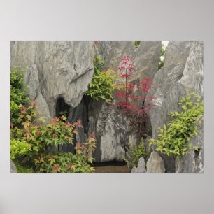 Poster Jardin familial de Bao, Huangshan, Chine.