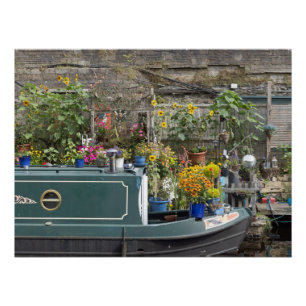 Poster Jardin fleuri et bateau étroit