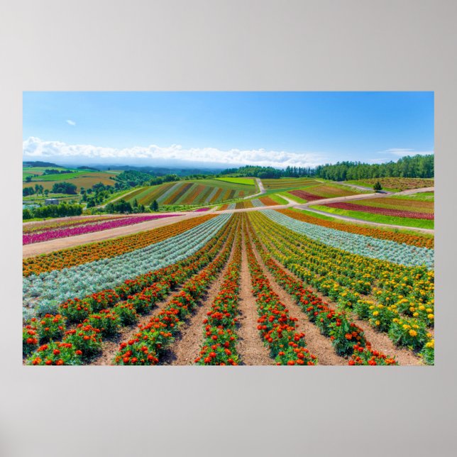 Poster Jardin fleuri | Shikisai No Oka Flower Farm (Devant)