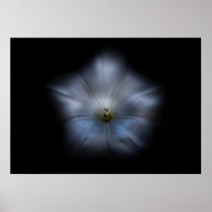Poster Jardin Fleurs No 24 Version Couleur Flow