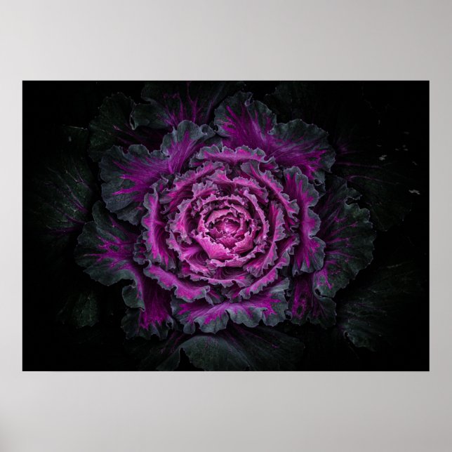 Poster Jardin Fleurs No 99 Version couleur (Devant)
