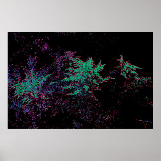 Poster Jardin Florescent