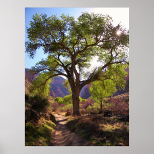 Poster Jardin indien