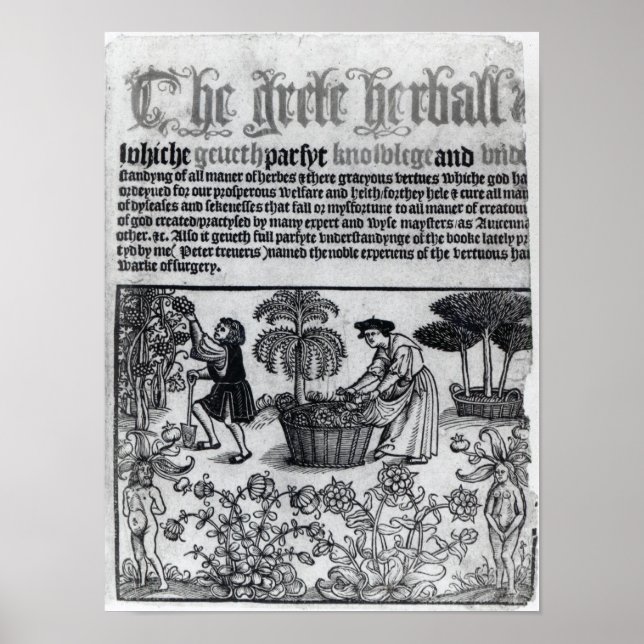 Poster Jardin médiéval aux herbes (Devant)