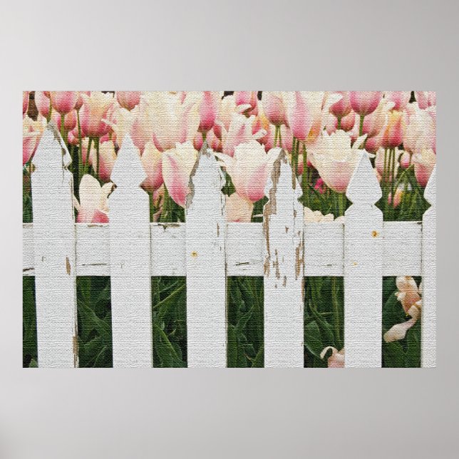 Poster Jardin néerlandais de Tulipe rose (Devant)