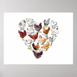 Poster Jardin poulet amour coeur fou poulet race