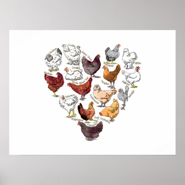 Poster Jardin poulet amour coeur fou poulet race (Devant)