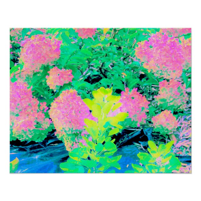 Poster Jardin rose d'Hydrangea avec olivier jaune (Devant)