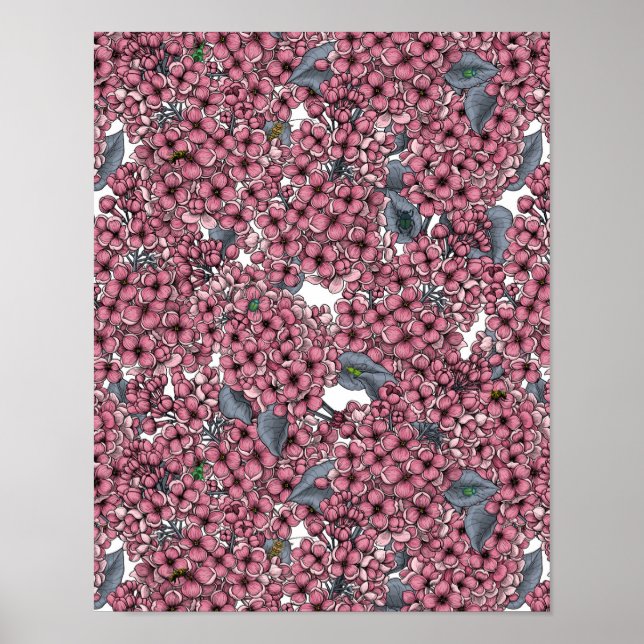 Poster Jardin rose Lilac (Devant)