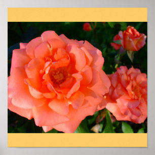 Poster Jardin rose Mod Chic Classal Flores