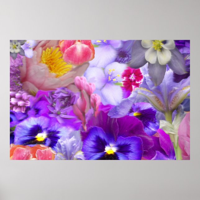 Poster Jardin Rotary (Devant)