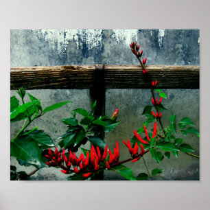 Poster Jardin rustique Floral