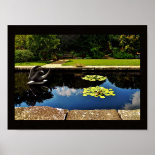 Poster Jardin sculpté