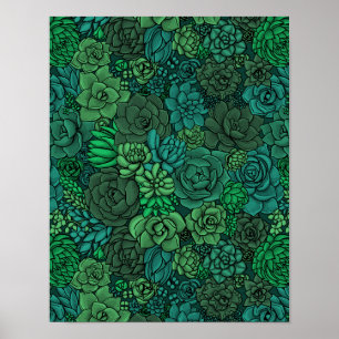 Poster Jardin succulent en vert