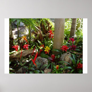 Poster Jardin tropical