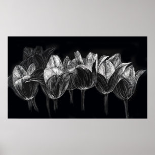 Poster Jardin Tulip Noir Blanc Scratchboard Art