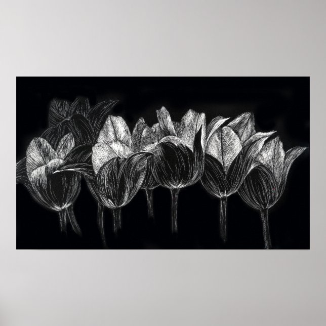 Poster Jardin Tulip Noir Blanc Scratchboard Art (Devant)