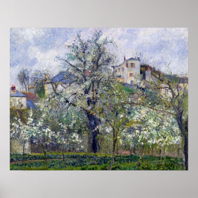Poster Jardin végétal avec arbres en fleurs (Devant)
