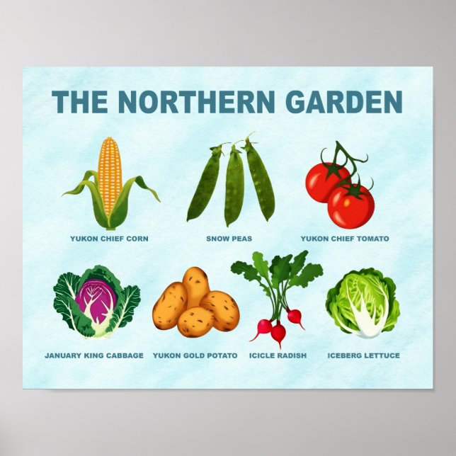 Poster Jardin végétal du Nord (Devant)