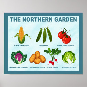 Poster Jardin végétal du Nord