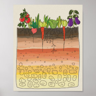 Poster Jardin végétal sol couches de terre décor de cuisi