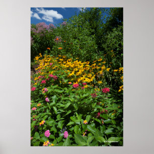Poster Jardin vert luxuriant