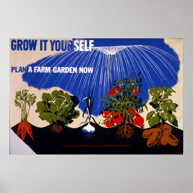 Poster Jardin victorieux de la Seconde Guerre mondiale vi (Devant)