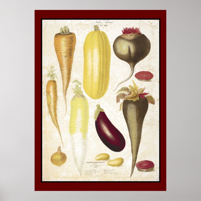 Poster Jardin vintage Légumes Cuisine Art (Devant)