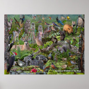 Poster Jardin WIldlife de l'Occident