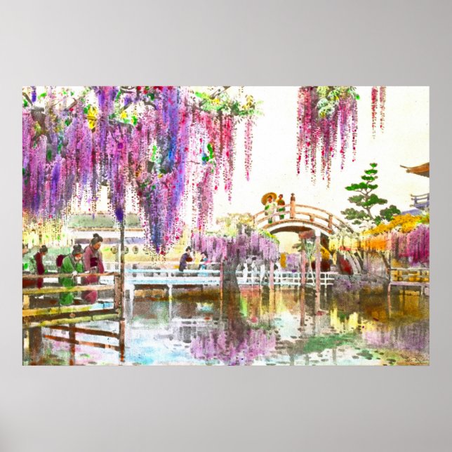 Poster Jardin Wisteria 1908 (Devant)