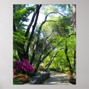 Poster Jardins botaniques, sentier, érables