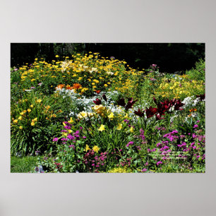 Poster Jardins Colorés En Plein Été !